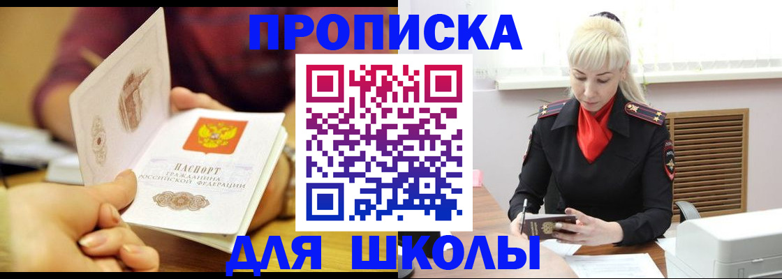 форма 3 в Сольцах